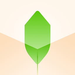 新枝 icon